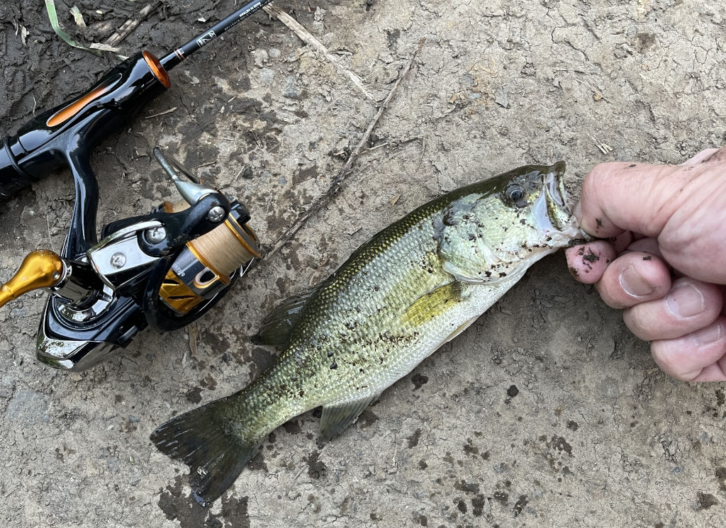 鶴見川のバス釣り